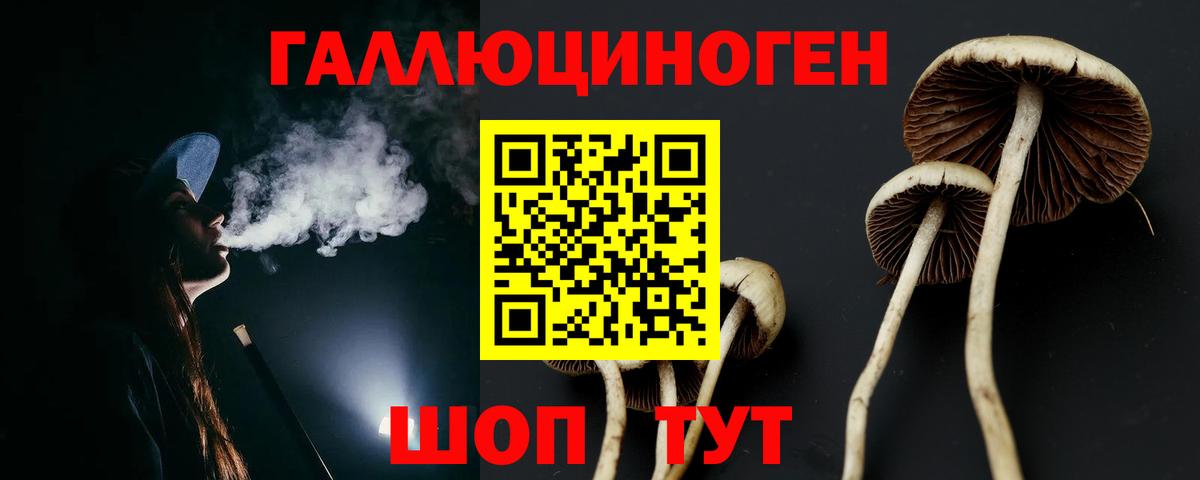 Тихвин  где можно купить наркотик  Псилоцибиновые грибы GOLDEN TEACHER  Вход с VPN  Галлюциногенные грибы мухоморы 